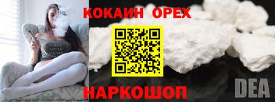 прущие грибы Кандалакша