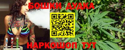 прущие грибы Кандалакша