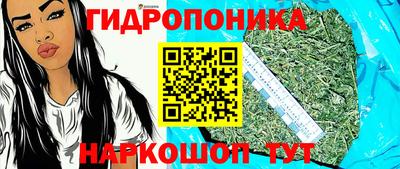 прущие грибы Кандалакша