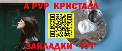 прущие грибы Кандалакша