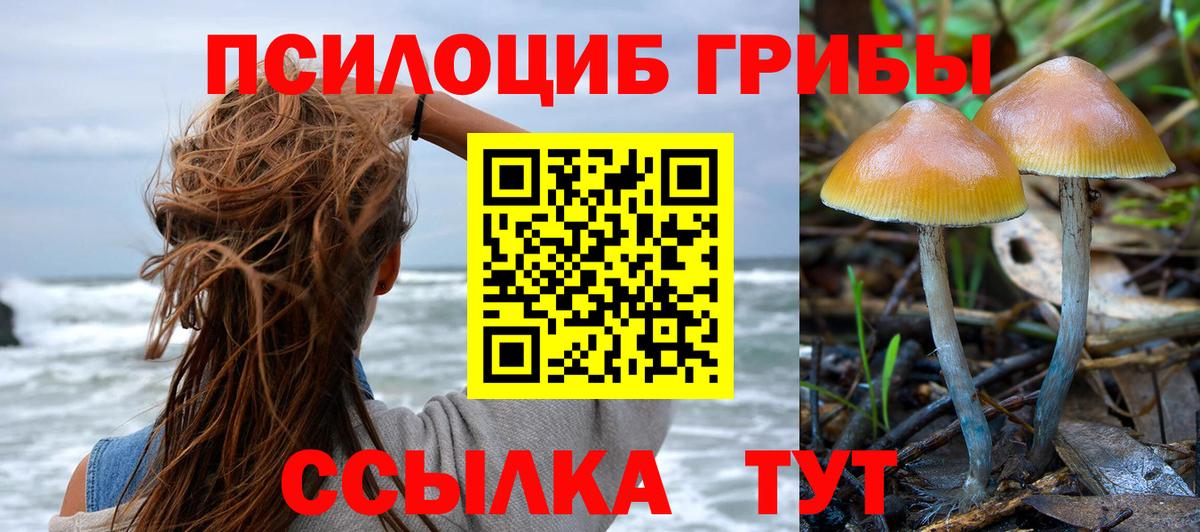 Псилоцибиновые грибы прущие грибы Курчатов
